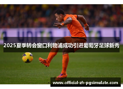 2025夏季转会窗口利物浦成功引进葡萄牙足球新秀 2025夏季转会窗口利物浦成功引进葡萄牙足球新秀