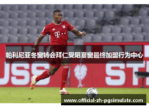 帕利尼亚冬窗转会拜仁受阻夏窗最终加盟行为中心