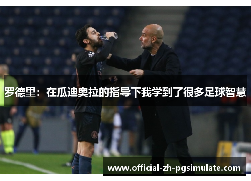 罗德里：在瓜迪奥拉的指导下我学到了很多足球智慧