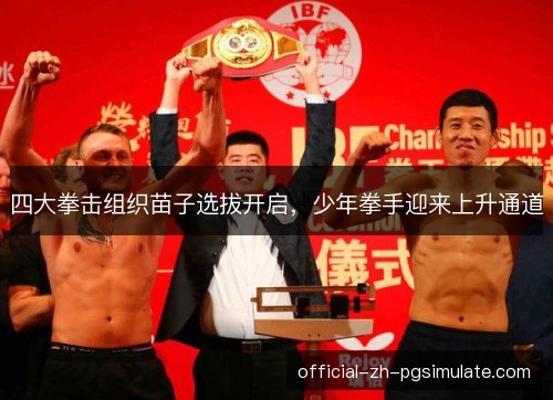 四大拳击组织苗子选拔开启,少年拳手迎来上升通道 四大拳击组织苗子选拔开启,少年拳手迎来上升通道